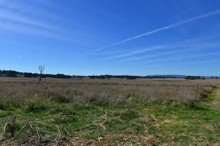 Third view of Homely rural property listing, 77 Grimshaw Lane, Gulgong NSW 2852