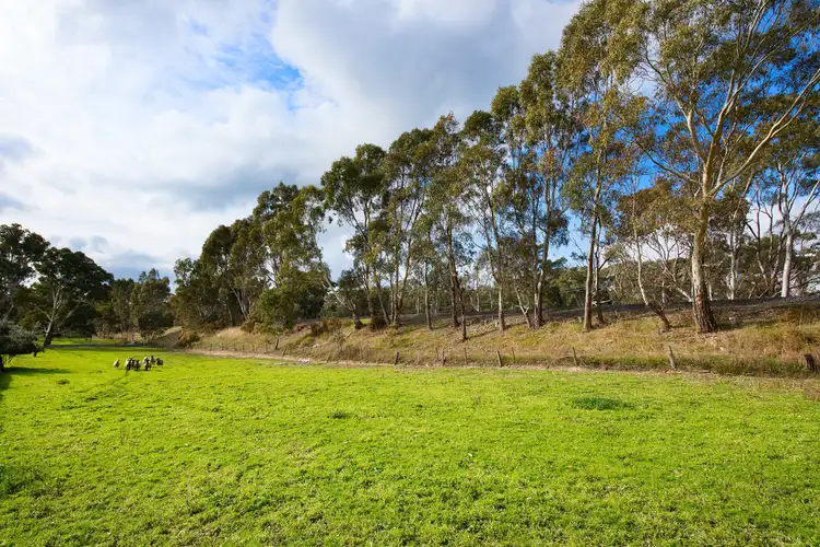 Fourth view of Homely house listing, 8768 Midland Highway, Barkers Creek VIC 3451