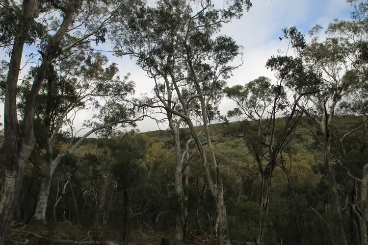 Third view of Homely rural property listing, 196 Triangle Swamp Road, Mudgee NSW 2850