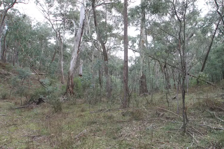 Fifth view of Homely rural property listing, 196 Triangle Swamp Road, Mudgee NSW 2850