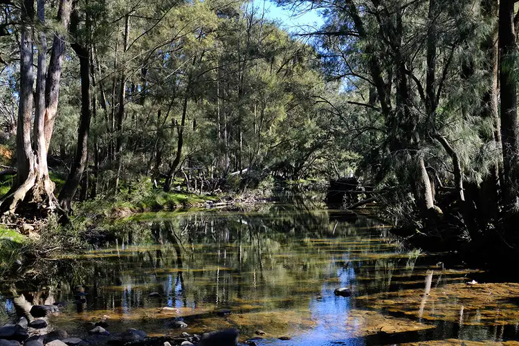 Seventh view of Homely rural property listing, 1496 Windeyer Road, Mudgee NSW 2850