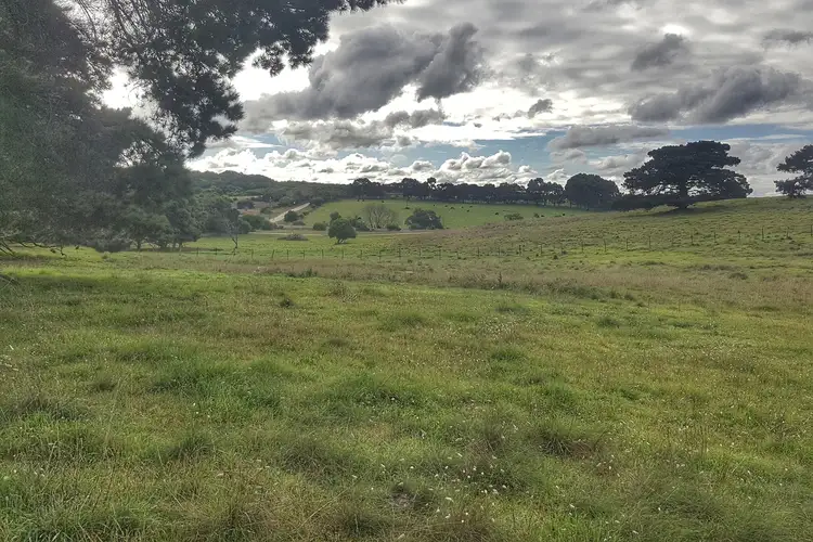 Main view of Homely land listing, LOT 16 Hunts Road, Wye SA 5291
