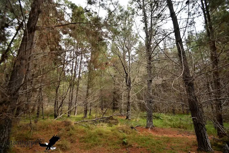 Fifth view of Homely rural property listing, LOT 248 Radiata Close, Sugarloaf QLD 4380