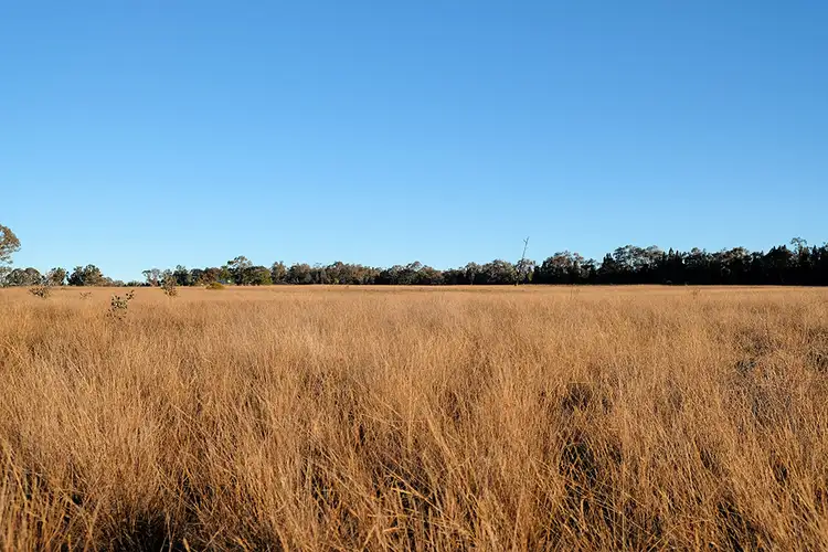Third view of Homely rural property listing, 929 Ridge Road, Mudgee NSW 2850