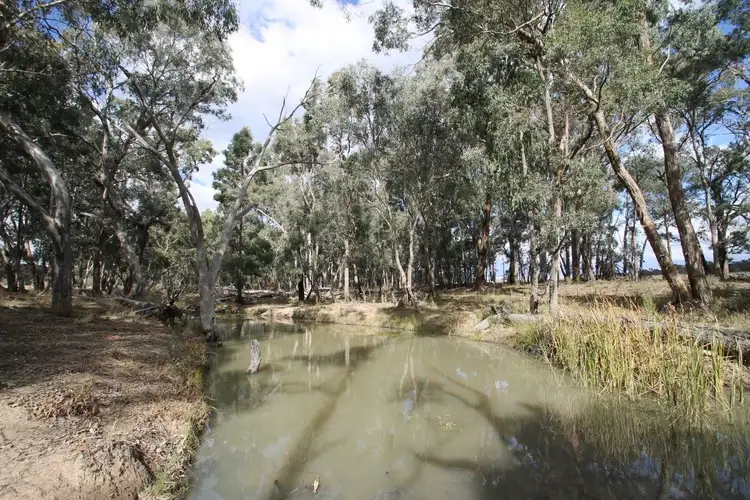 1515 Blue Springs Road, Gulgong NSW 2852