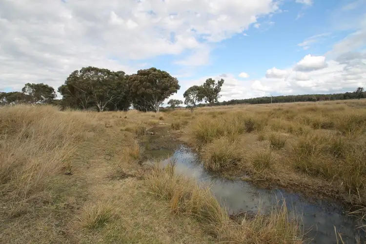 Second view of Homely rural property listing, 1515 Blue Springs Road, Gulgong NSW 2852