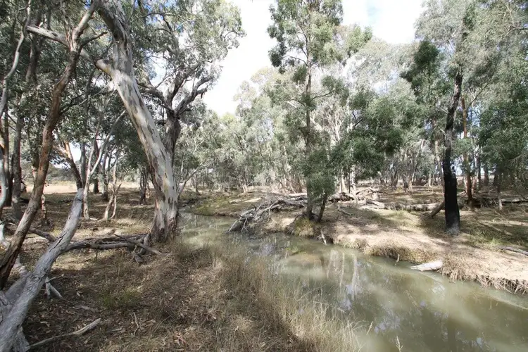 Third view of Homely rural property listing, 1515 Blue Springs Road, Gulgong NSW 2852
