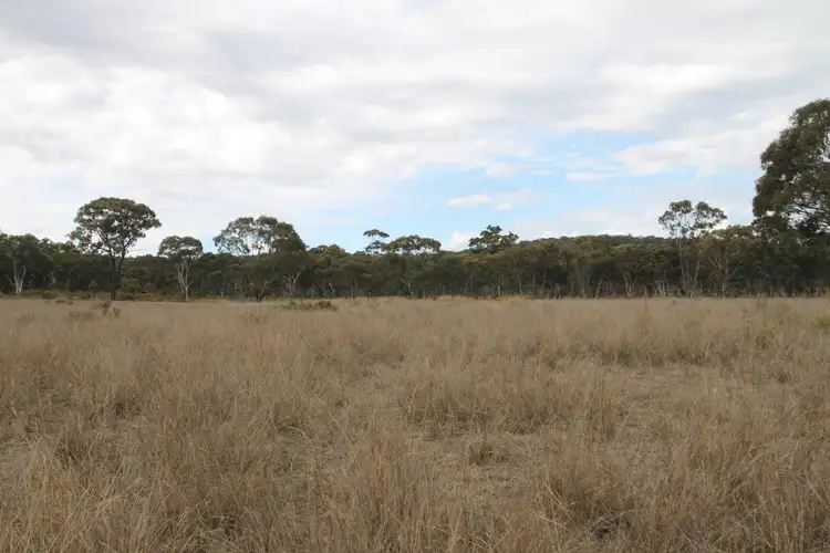 Fifth view of Homely rural property listing, 1515 Blue Springs Road, Gulgong NSW 2852