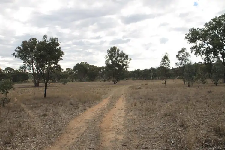 Sixth view of Homely rural property listing, 1515 Blue Springs Road, Gulgong NSW 2852