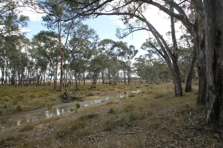 Seventh view of Homely rural property listing, 1515 Blue Springs Road, Gulgong NSW 2852