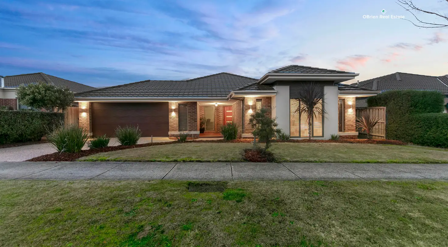 Main view of Homely house listing, 19 Hollyrood Drive, Berwick VIC 3806