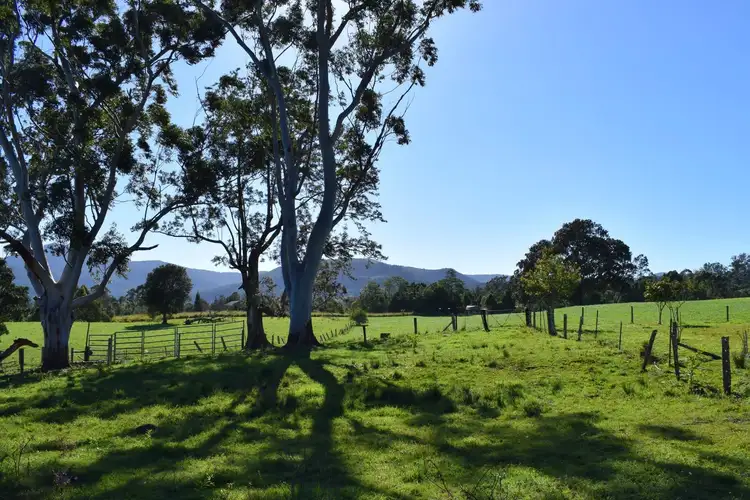 Second view of Homely rural property listing, 74 Falls Road, Nimbin NSW 2480