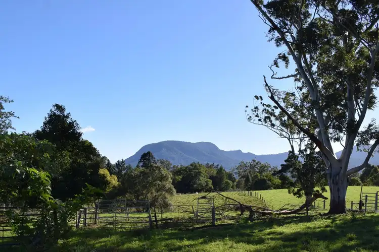 Fourth view of Homely rural property listing, 74 Falls Road, Nimbin NSW 2480