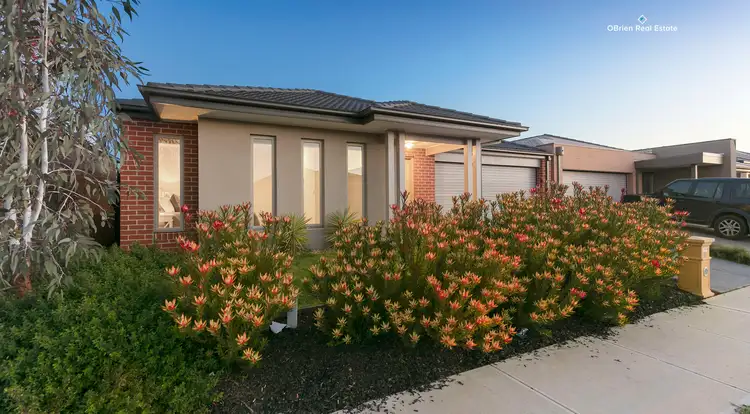 11 Dream Avenue, Clyde North VIC 3978