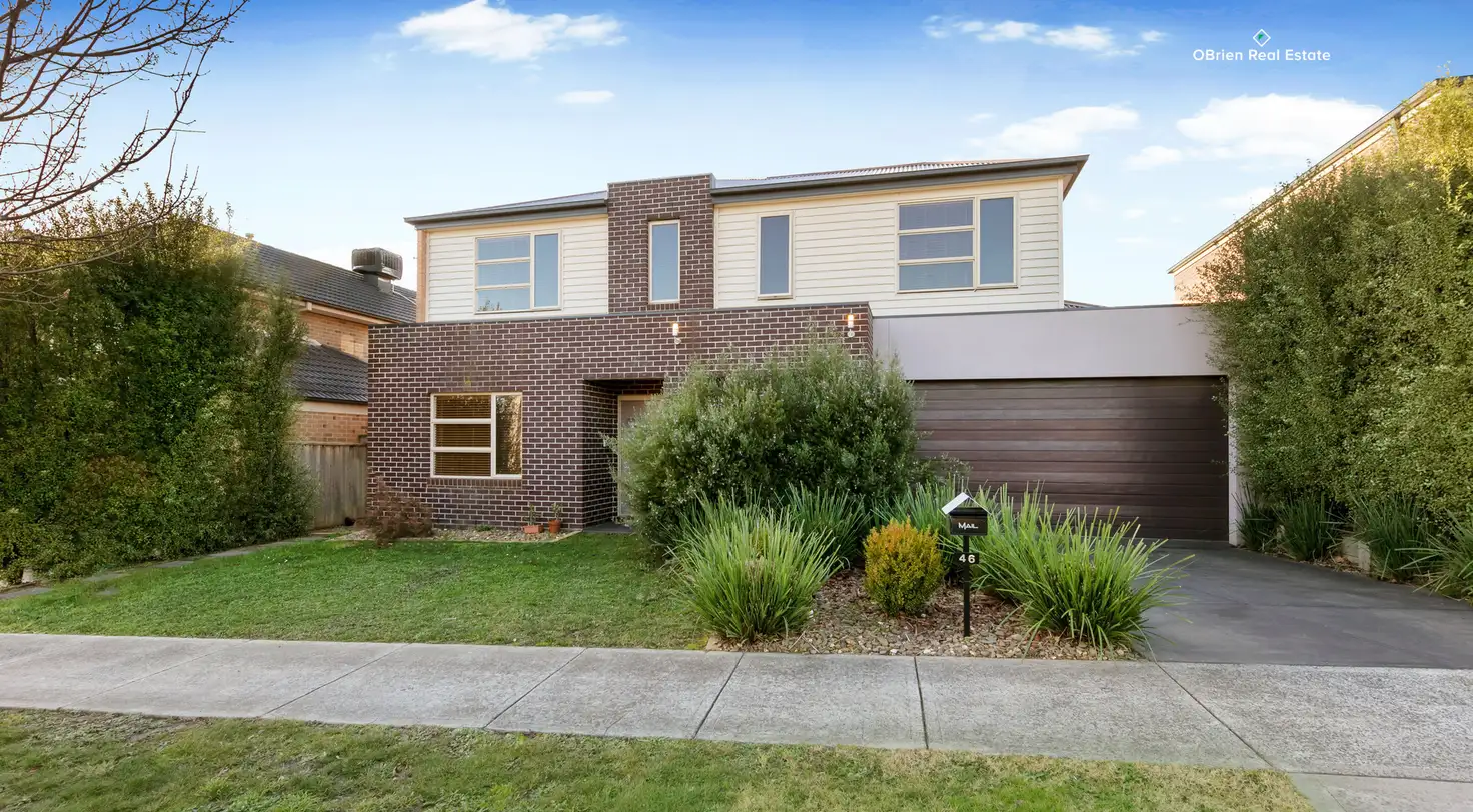 Main view of Homely house listing, 46 Saul Avenue, Berwick VIC 3806