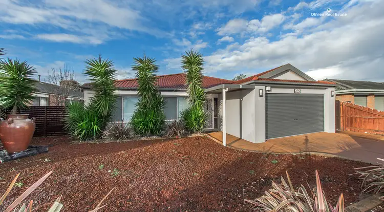 255 Ormond Road, Narre Warren South VIC 3805