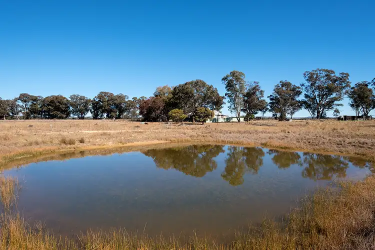 Main view of Homely rural property listing, 485 Cope Road, Gulgong NSW 2852