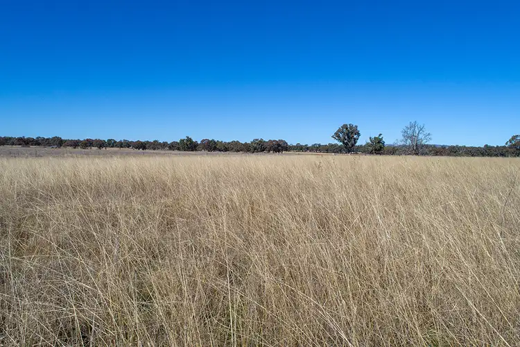 Sixth view of Homely rural property listing, 485 Cope Road, Gulgong NSW 2852