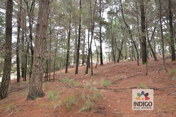 Sixth view of Homely land listing, LOT 1 Lower Nine Mile Road, Stanley VIC 3747