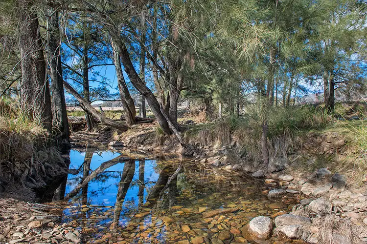 Main view of Homely rural property listing, 385 Bishops View Road, Mudgee NSW 2850