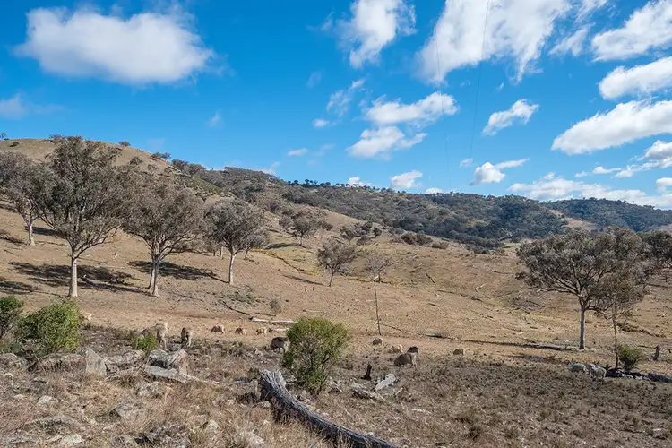 Third view of Homely rural property listing, 385 Bishops View Road, Mudgee NSW 2850