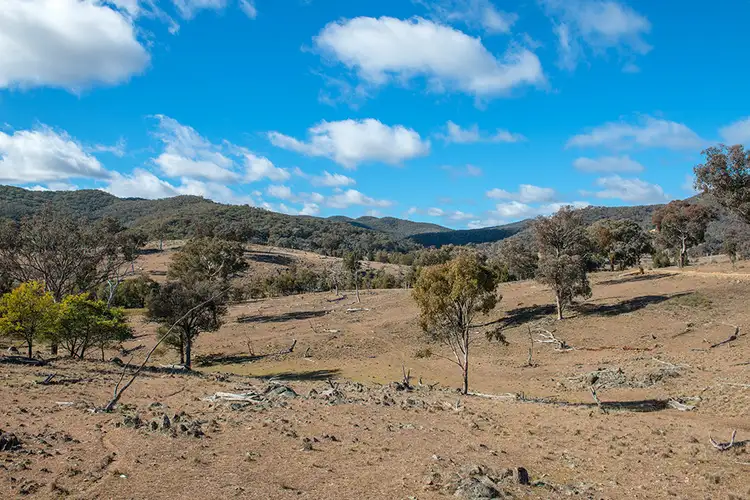 Fourth view of Homely rural property listing, 385 Bishops View Road, Mudgee NSW 2850