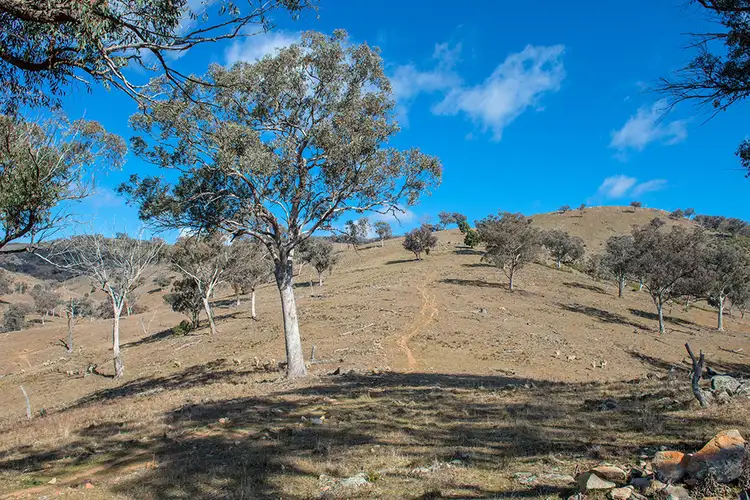 Fifth view of Homely rural property listing, 385 Bishops View Road, Mudgee NSW 2850