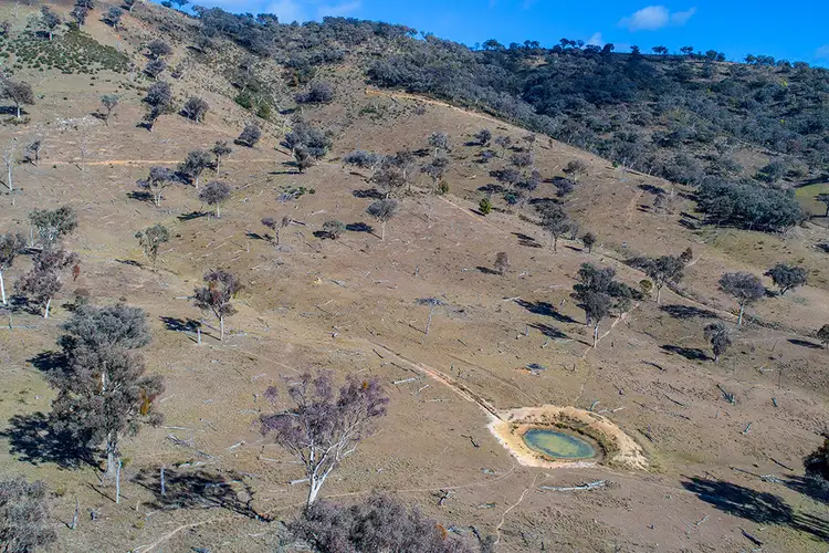 Seventh view of Homely rural property listing, 385 Bishops View Road, Mudgee NSW 2850