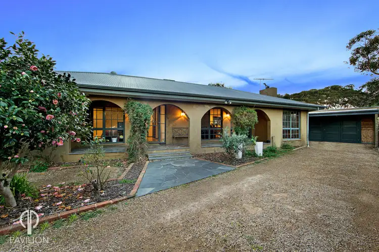 16 Lowe Street, Ocean Grove VIC 3226