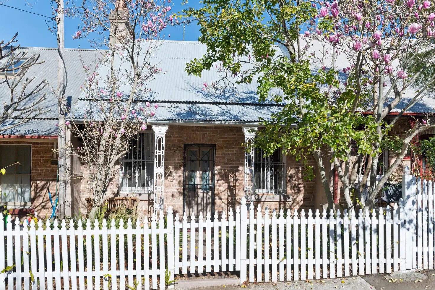 Main view of Homely house listing, 62 Cambell Street, Glebe NSW 2037
