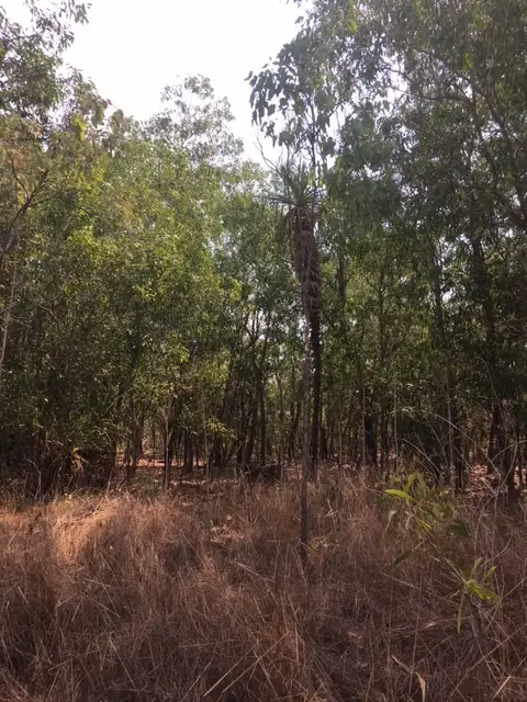 Second view of Homely rural property listing, Level Lot 9, LOT Lot 9, 329a Goode Road, Humpty Doo NT 836