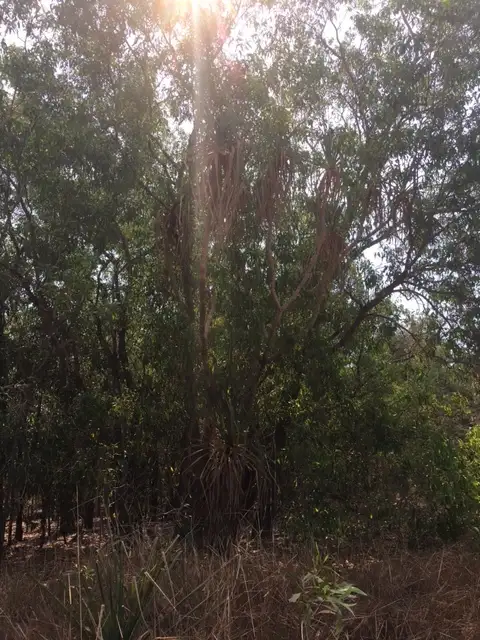 Third view of Homely rural property listing, Level Lot 9, LOT Lot 9, 329a Goode Road, Humpty Doo NT 836