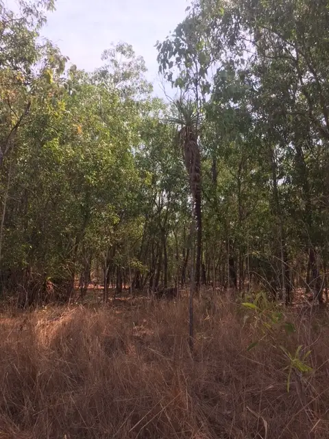 Fourth view of Homely rural property listing, Level Lot 9, LOT Lot 9, 329a Goode Road, Humpty Doo NT 836
