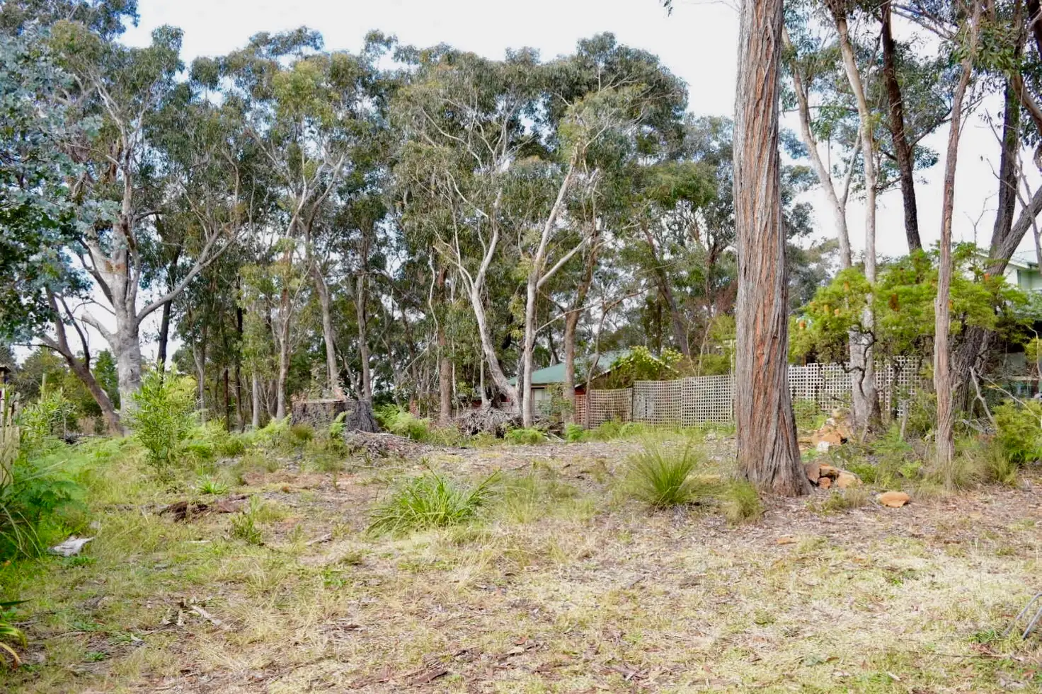 Main view of Homely land listing, 95 Henderson Road, Wentworth Falls NSW 2782
