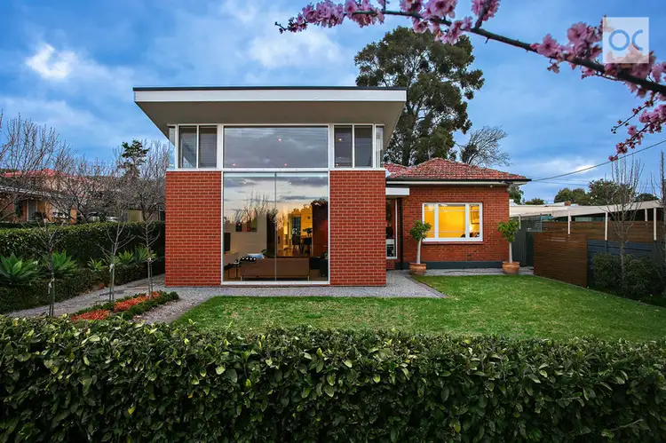 Main view of Homely house listing, 16 Collingwood Avenue, Hazelwood Park SA 5066