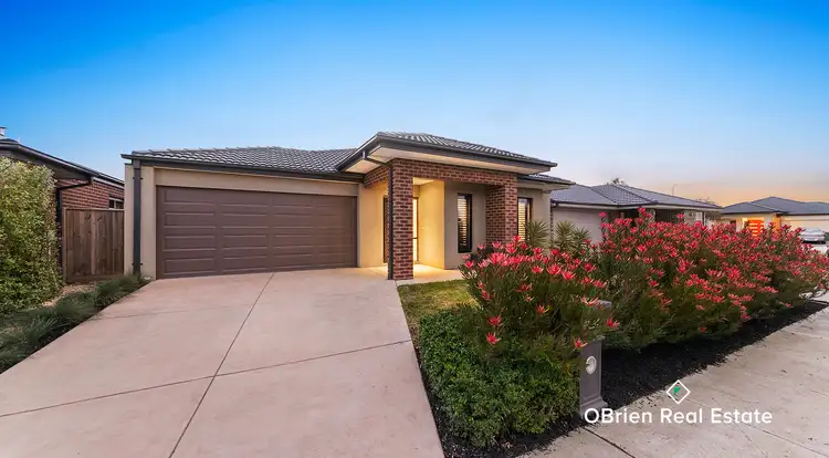 Main view of Homely house listing, 13 Scarlet Ash Drive, Cranbourne West VIC 3977