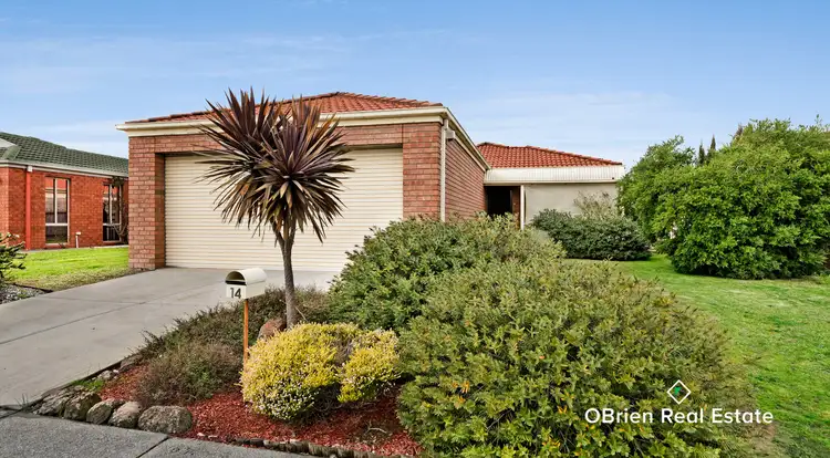14 Balmaceda Court, Berwick VIC 3806