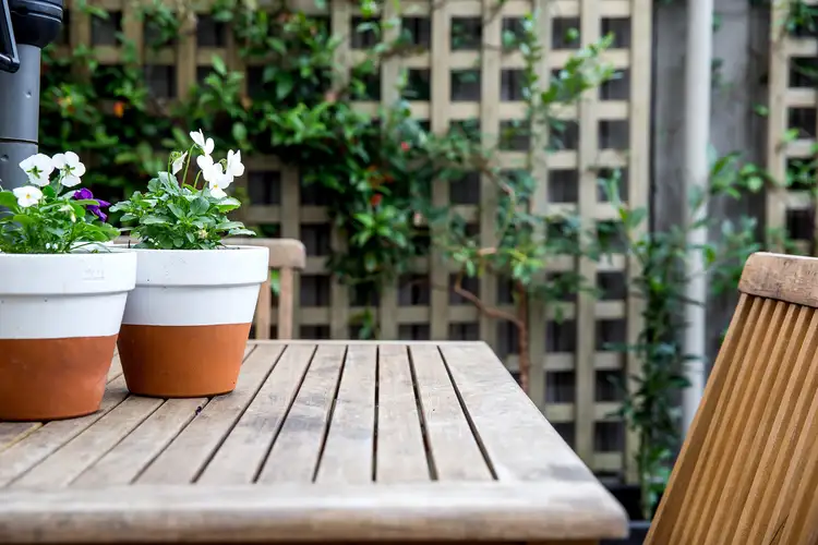 Sixth view of Homely house listing, 12 Phillip Street, Balmain NSW 2041