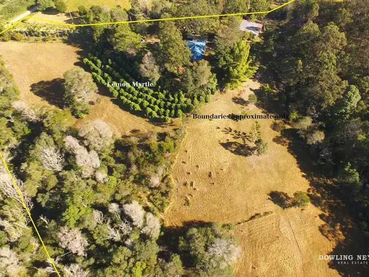Second view of Homely rural property listing, 76 Driers Road, Cooran QLD 4569