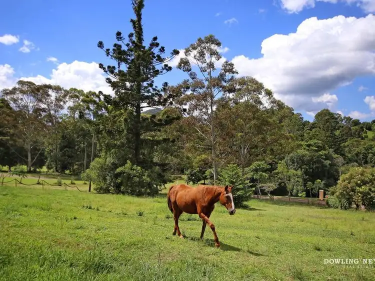 Main view of Homely rural property listing, 192 Nandroya, Eumundi QLD 4562