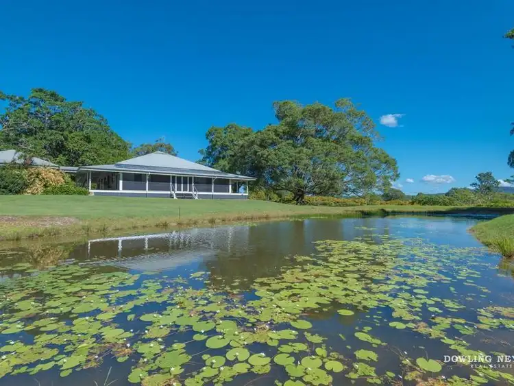 Fifth view of Homely house listing, 166 Cootharaba Downs, Cootharaba QLD 4565