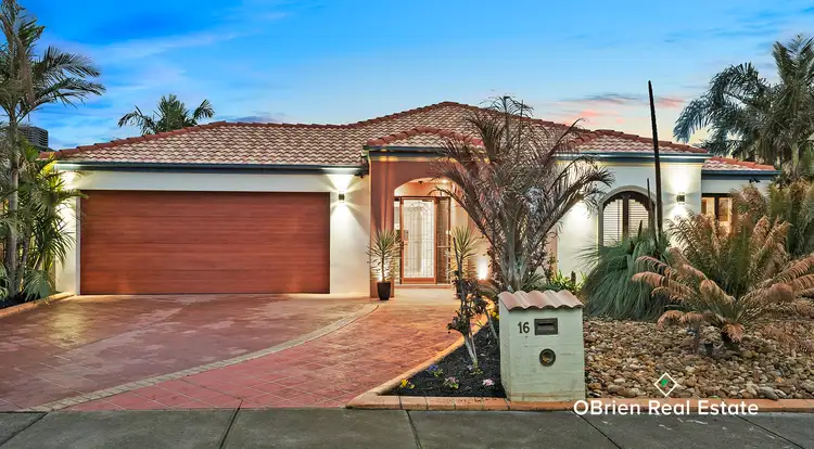 16 Champagne Grove, Narre Warren South VIC 3805