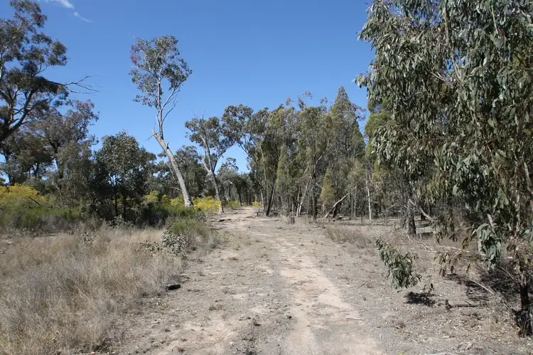 Main view of Homely rural property listing, 1096 Yarrawonga Road, Mudgee NSW 2850