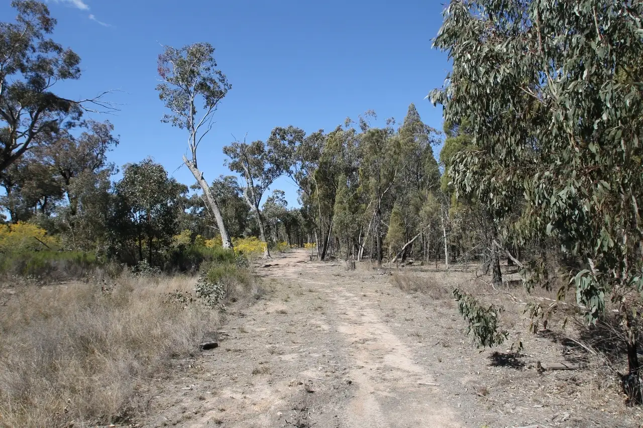 Main view of Homely rural property listing, 1096 Yarrawonga Road, Mudgee NSW 2850