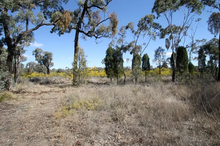 Second view of Homely rural property listing, 1096 Yarrawonga Road, Mudgee NSW 2850