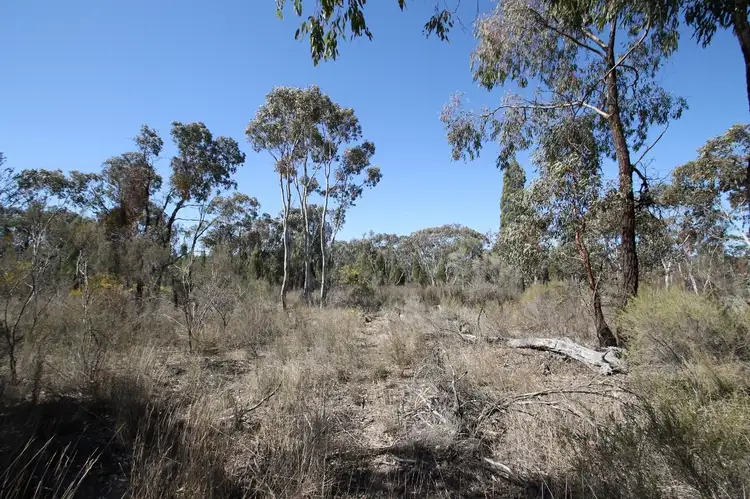 Third view of Homely rural property listing, 1096 Yarrawonga Road, Mudgee NSW 2850