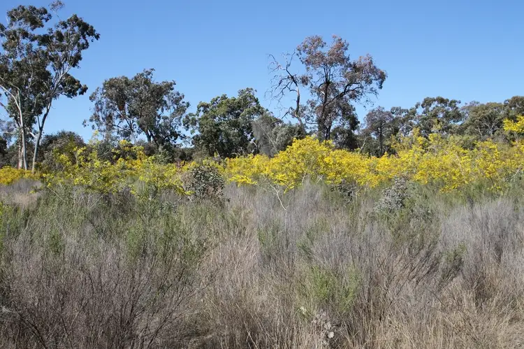 Fourth view of Homely rural property listing, 1096 Yarrawonga Road, Mudgee NSW 2850