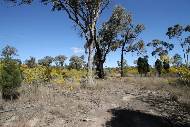 Fifth view of Homely rural property listing, 1096 Yarrawonga Road, Mudgee NSW 2850