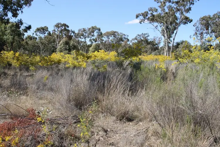 Sixth view of Homely rural property listing, 1096 Yarrawonga Road, Mudgee NSW 2850