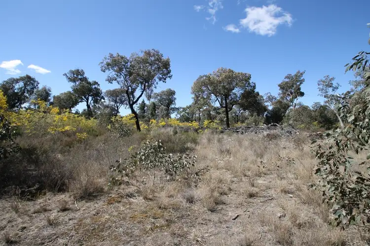 Seventh view of Homely rural property listing, 1096 Yarrawonga Road, Mudgee NSW 2850